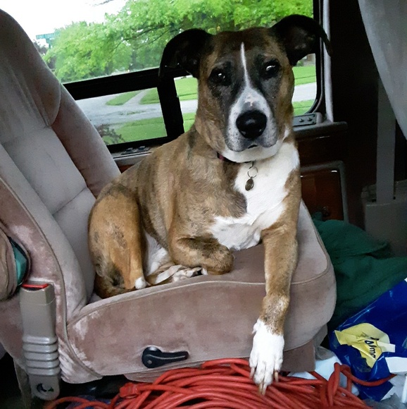 Meet your Posher, Sally - Picture 8 of 16